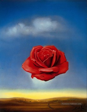 La rosa meditativa Salvador Dali Pinturas al óleo